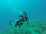 Hawaii Scuba divng 13