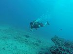 Hawaii Scuba divng 14