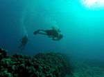 Hawaii Scuba divng 19