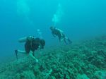 Hawaii Scuba divng 20