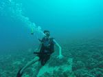 Hawaii Scuba divng 21