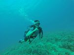 Hawaii Scuba divng 24