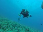 Hawaii Scuba divng 27