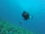 Hawaii Scuba divng 28