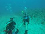 Hawaii Scuba divng 31