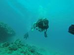 Hawaii Scuba divng 34