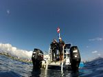 Hawaii Scuba divng 35