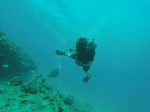 Hawaii Scuba divng 36