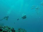 Hawaii Scuba divng 40