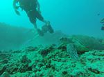 Hawaii Scuba divng 48