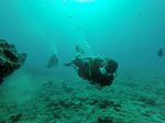 Hawaii Scuba divng 59