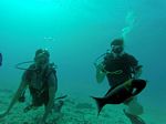 Hawaii Scuba divng 63