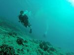 Hawaii Scuba divng 65