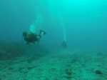 Hawaii Scuba divng 66