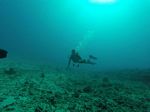 Hawaii Scuba divng 75