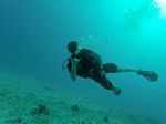 Hawaii Scuba divng 76