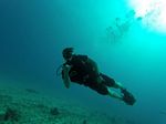 Hawaii Scuba divng 77