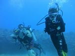 Oahu scuba 35