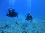 Hawaii scuba 27