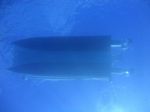 Hawaii scuba 91