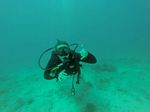 Hawaii Scuba divng 27