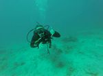 Hawaii Scuba divng 28