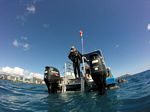 Hawaii Scuba divng 30