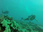 Hawaii Scuba divng 33