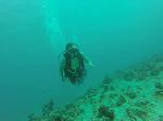 Hawaii Scuba divng 34