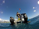 Hawaii Scuba divng 38