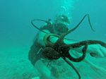 Hawaii Scuba divng 43