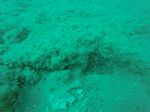 Hawaii Scuba divng 47