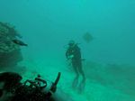 Hawaii Scuba divng 04