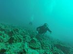 Hawaii Scuba divng 52