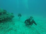 Hawaii Scuba divng 54