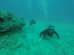 Hawaii Scuba divng 56