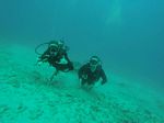 Hawaii Scuba divng 56