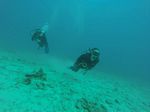 Hawaii Scuba divng 61