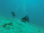 Hawaii Scuba divng 62