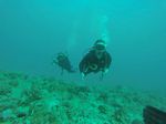 Hawaii Scuba divng 69