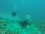 Hawaii Scuba divng 70