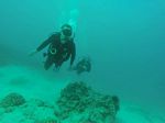 Hawaii Scuba divng 73