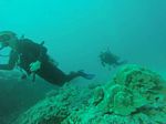 Hawaii Scuba divng 74