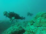 Hawaii Scuba divng 75