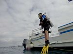 Hawaii Scuba divng 10