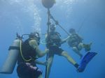 Hawaii Scuba divng 11