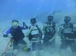 Hawaii Scuba divng 12