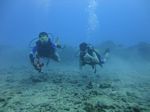 Hawaii Scuba divng 16