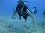 Hawaii Scuba divng 18
