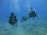 Hawaii Scuba divng 19